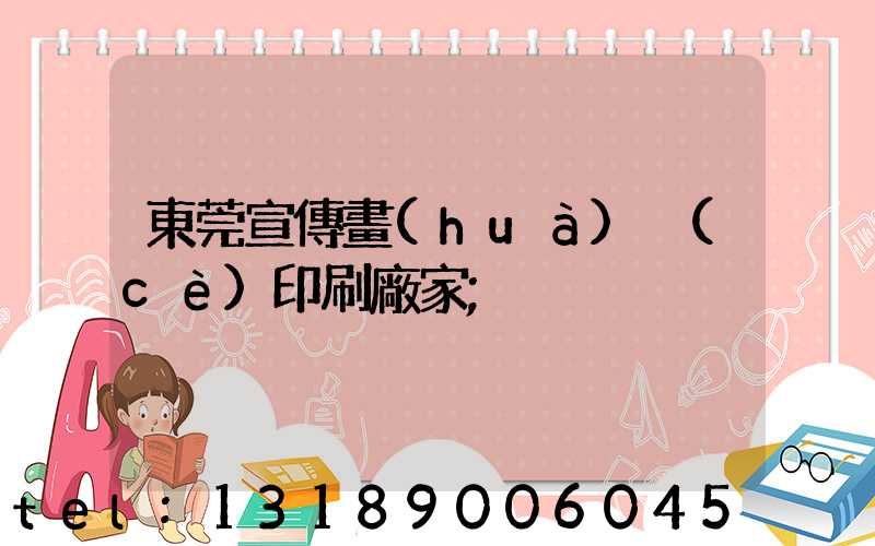 東莞宣傳畫(huà)冊(cè)印刷廠家