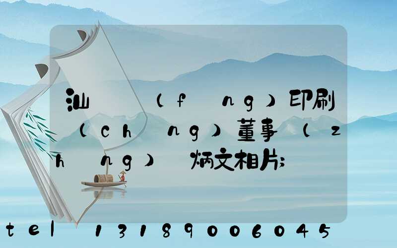 汕頭東風(fēng)印刷廠(chǎng)董事長(zhǎng)黃炳文相片